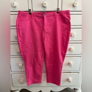 Talbots Pink Pants Size 22W